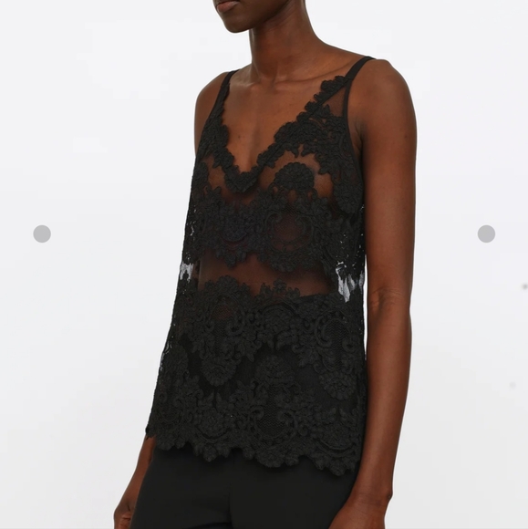 ARITZIA BABATON Navy Franck Sheer Lace Camisole Top - Picture 3 of 12